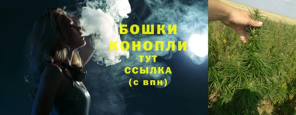 дживик Горняк