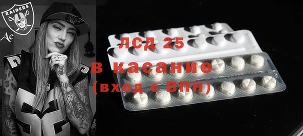 дживик Горняк