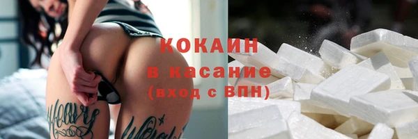 дживик Горняк