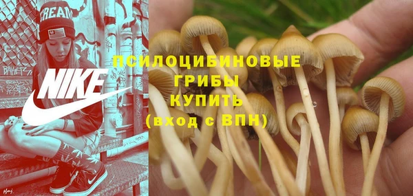 кокаин VHQ Горнозаводск