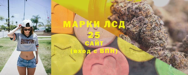 дживик Горняк