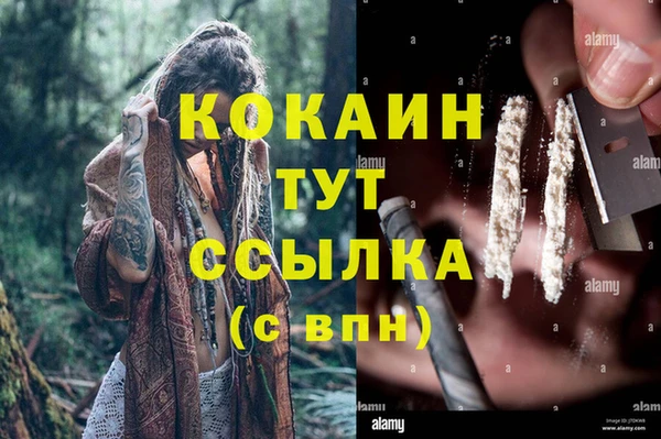 дживик Горняк